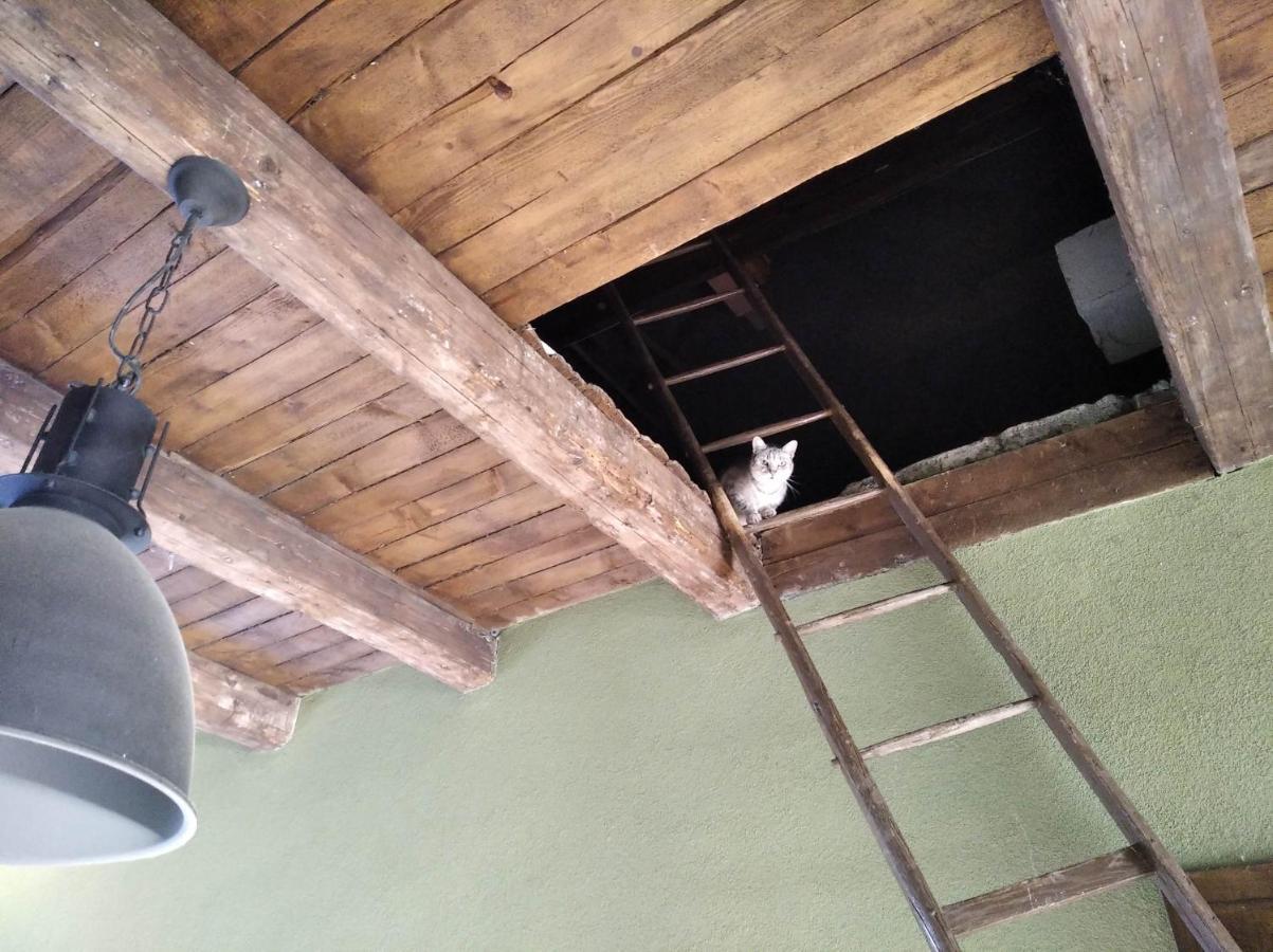 Ubytovani U Malinkovicu Břeclav 外观 照片
